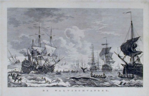 H. Kobell jr. - Kopergravure met afbeelding van de walvisvaart.