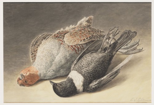 Jachtstuk met dode fazant en beflijster