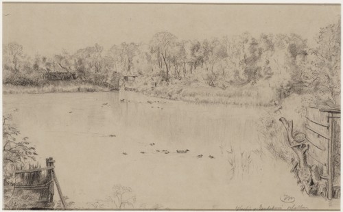 Kooiplas bij de eendenkooi te Hallum