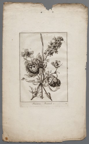 Ornamentprent. Boeket.