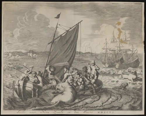 Tocht naar Nova Zembla in 1596