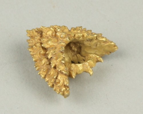 Gouden oorhanger