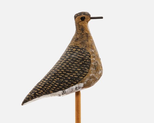 Lokvogel goudplevier