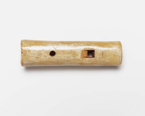 Lokfluit goudplevier