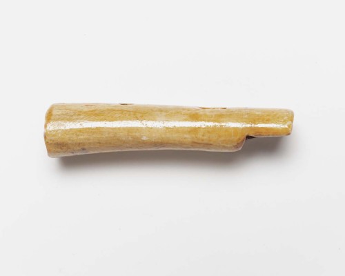 Lokfluit goudplevier