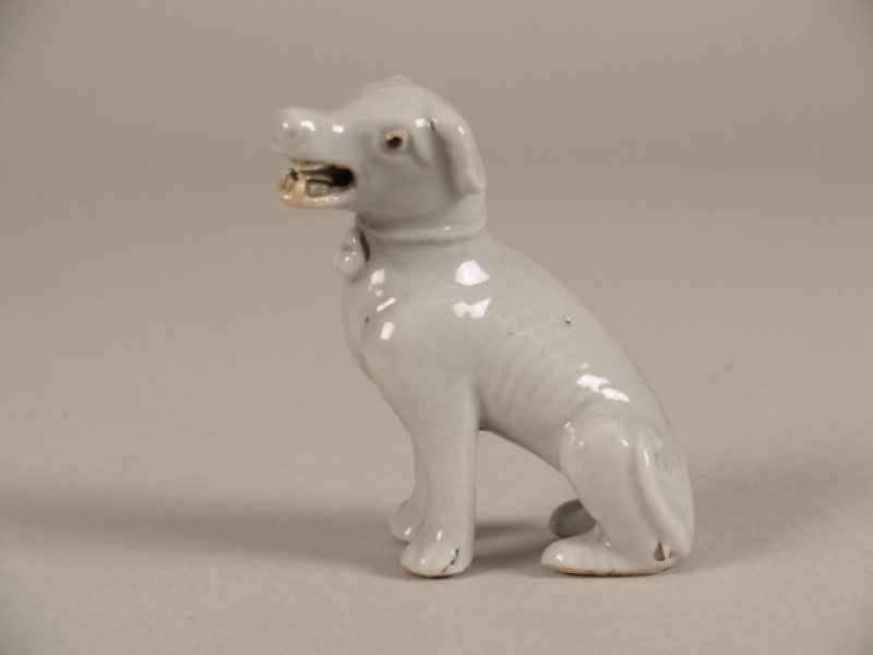 Hond, zittend
