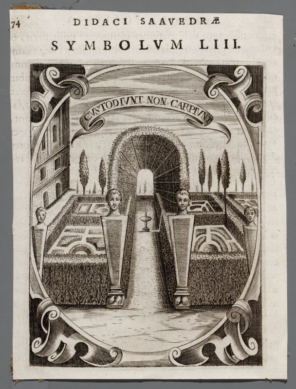 Ornamentprent. Embleem. Idea principis christiano-politici. Custodiunt non carpiunt.