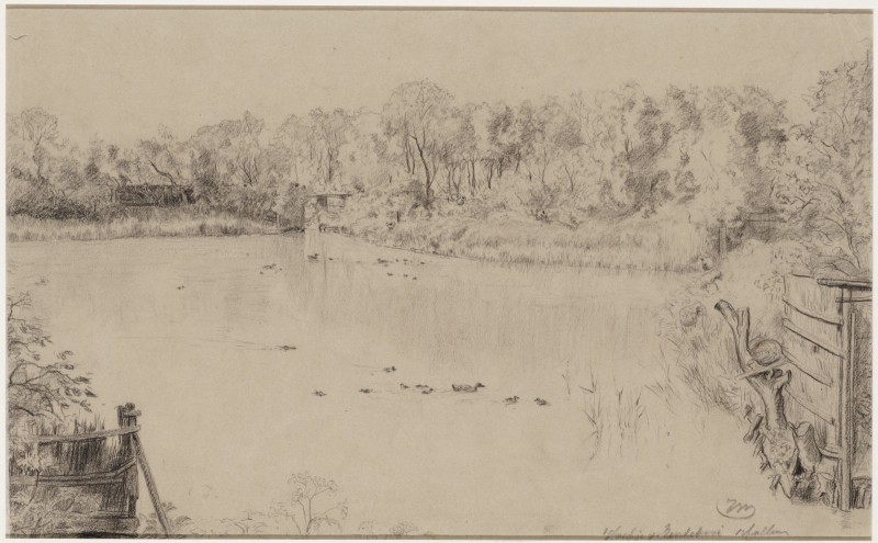 Kooiplas bij de eendenkooi te Hallum