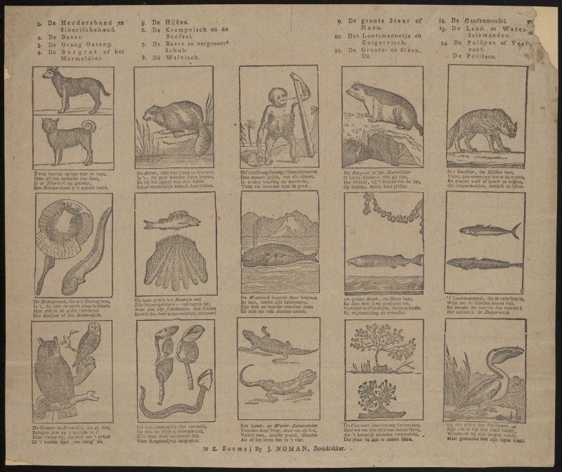 Dieren en planten (Nº C)