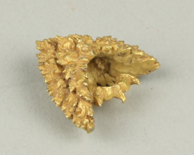 Gouden oorhanger