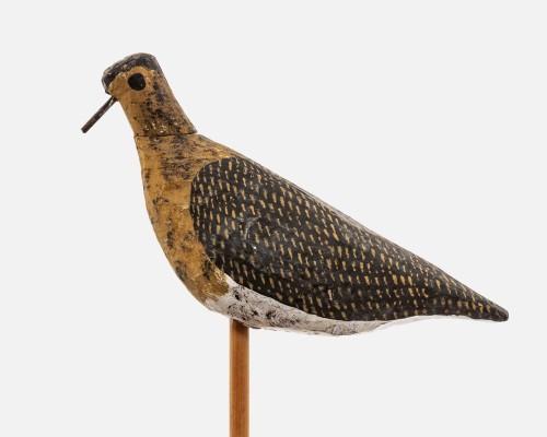Lokvogel goudplevier