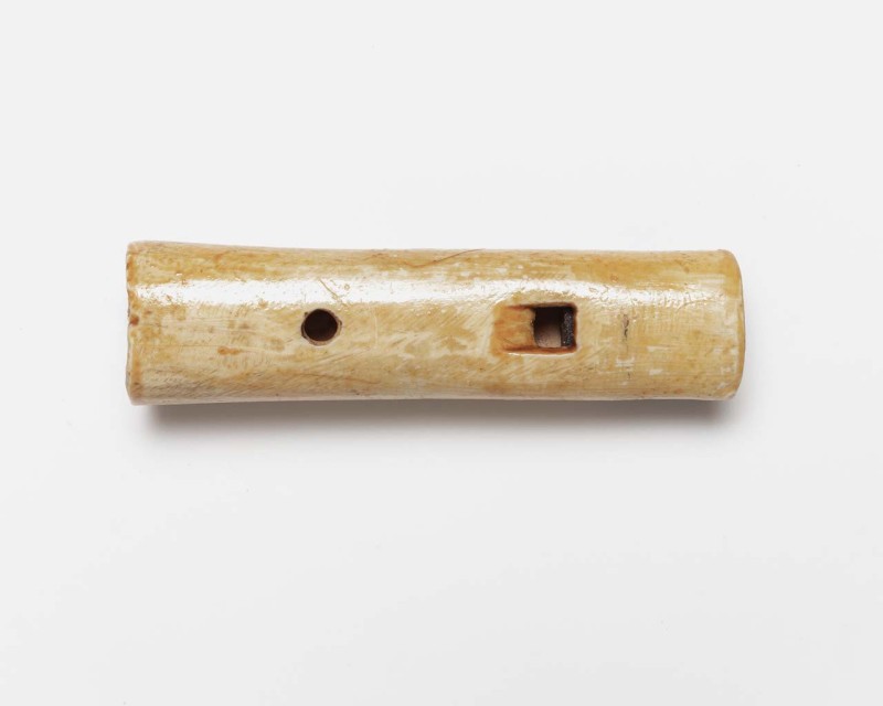 Lokfluit goudplevier