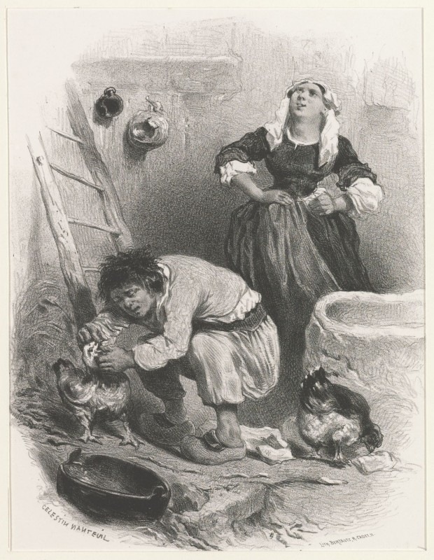 Boer, boerin en kippen